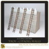 Troy’s Citadel Walls Scaling Ladders